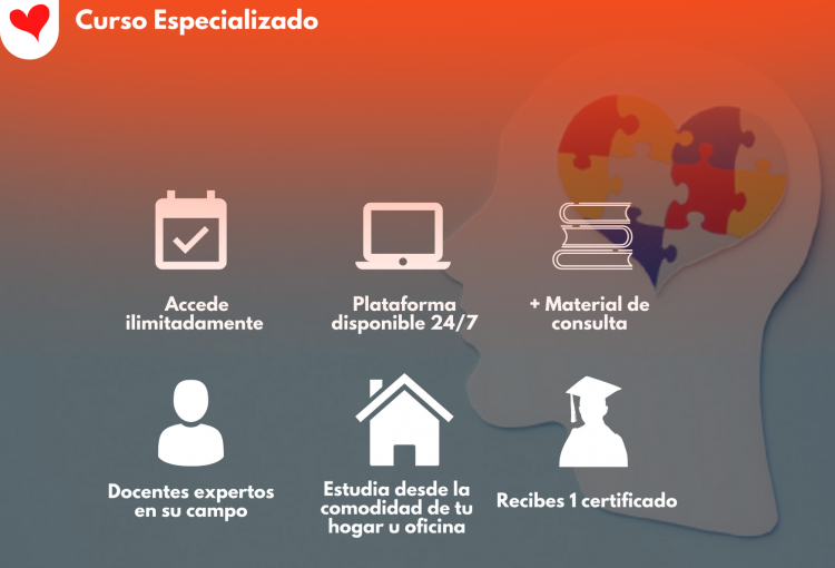 Curso en Neuroeducación: cerebro y aprendizaje